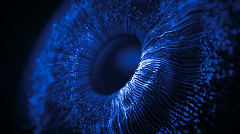 Blue iris