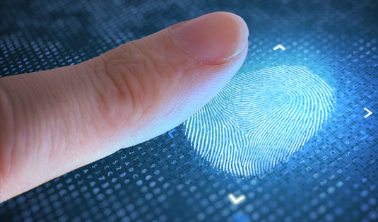 Fingerprint Optics